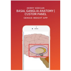 Basal Ganglia Anatomy | Kerry Keegan | Custom Panel