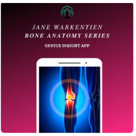 Bone anatomy Series | Jane Warkentien | Genius Insight App