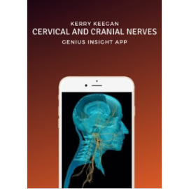 Cervical and Cranial Nerves | Kerry Keegan | Custom Panels