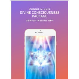 DIVINE CONSCIOUSNESS PACKAGE | Genius Insight | Connie Minnis