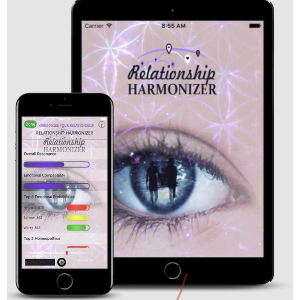 Relationship Harmonizer App 