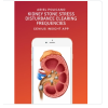 Kidney Stone Stress Disturbance Clearing Frequencies | Ariel Policano