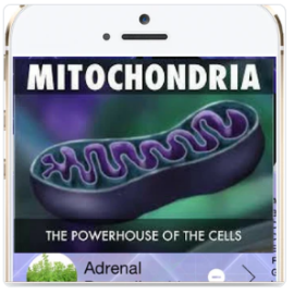 Mitochondrial Rejuvenation Program | Genius Insight | Ariel Policano