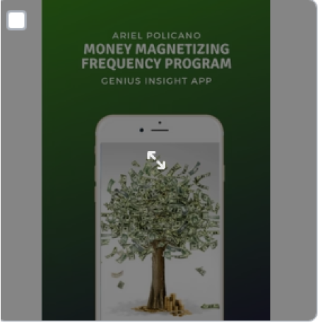 Money Magnetizing Frequency Program | Genius Insight Custom Panel | Ariel Policano