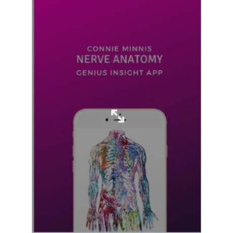 NERVE ANATOMY | Genius Insight | Connie Minnis