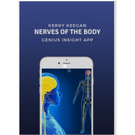 Nerves of the Body | Genius Insight | Kerry Keegan