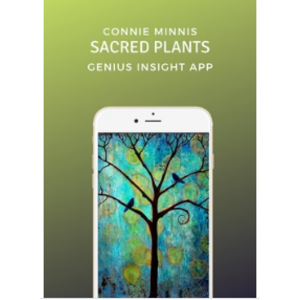 SACRED PLANTS | Connie Minnis | Genius Insight