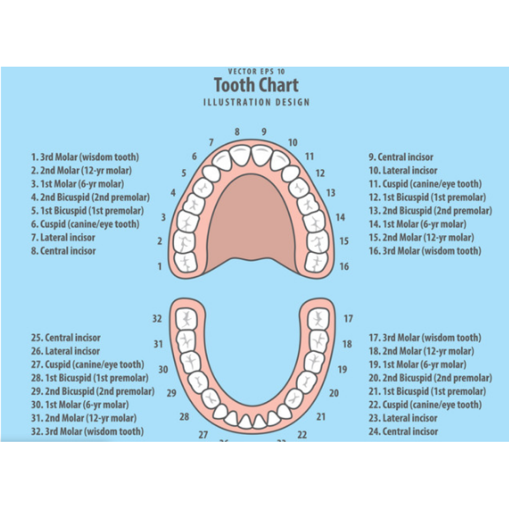 Teeth and Emotions: Identify and clear emotional blocks connected to tooth issues| Genius Insight | Ariel Policano