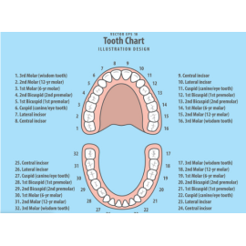 Teeth and Emotions: Identify and clear emotional blocks connected to tooth issues| Genius Insight | Ariel Policano