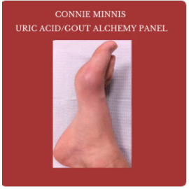 Uric Acid/Gout Alchemy Custom Panel | Connie Minnis | Genius Insight