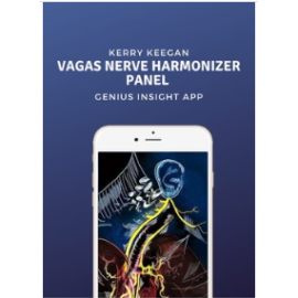 Vagus Nerve Harmonizer Panel | Kerry Keegan | Custom Panel