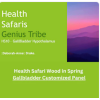 Deborah Drake Health Safari - Wood in Spring GallBladder Customized Panel