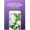 Worldwide Flower Essences for Emotional Healing Panel | Genius Insight | Ariel Policano